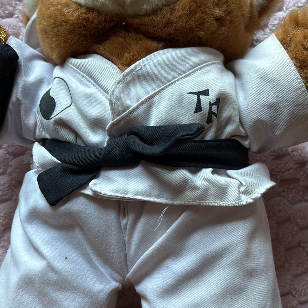 Kung Fu Bear - Picture 2 of 8
